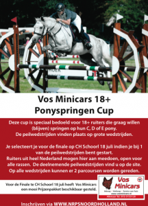 vos minicars cup flyer 2015